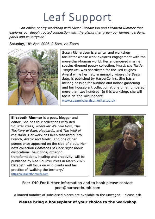 Workshop%20flyer%20final